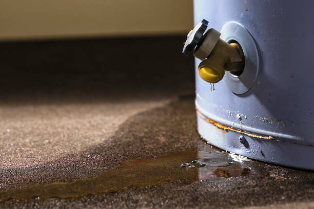 Best Sewage cleanup and water damage restoration  in Centreville, AL