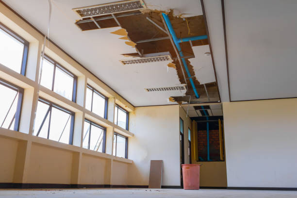 Best Commercial water damage restoration  in Centreville, AL