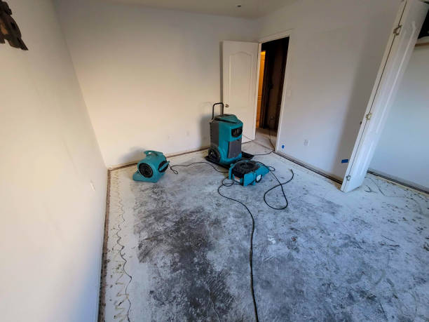 Best 24-hour water damage restoration  in Centreville, AL