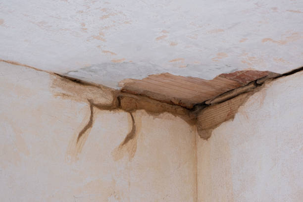 Best Emergency water damage restoration  in Centreville, AL
