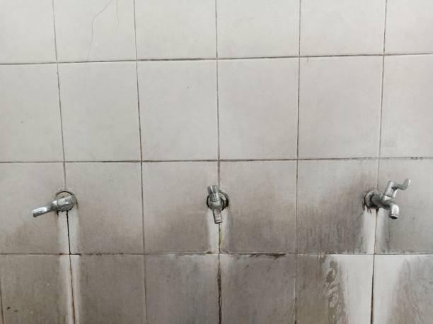 Best Water damage cleanup near me  in Centreville, AL