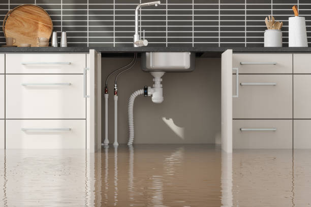 Best Professional water damage repair  in Centreville, AL