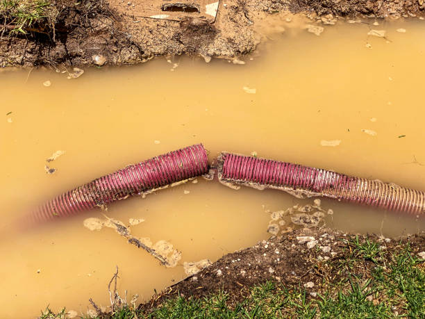 Best Carpet water damage restoration  in Centreville, AL