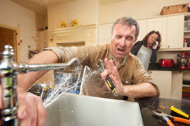 Best Flooded house restoration  in Centreville, AL
